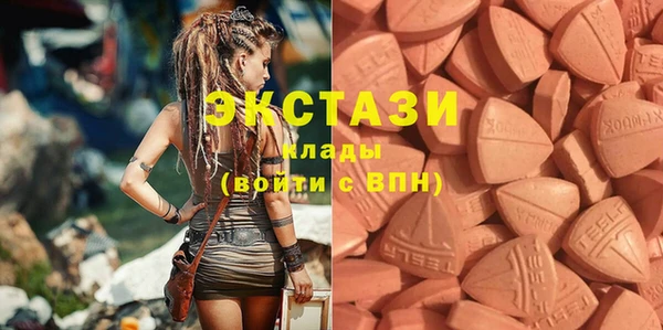 прущие грибы Абаза