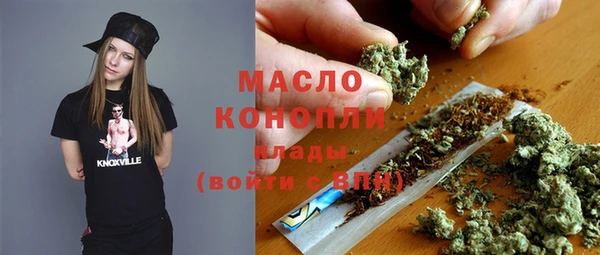 прущие грибы Абаза