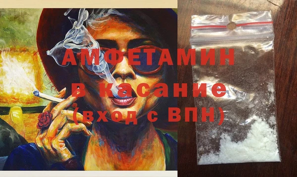 прущие грибы Абаза