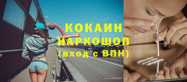 прущие грибы Абаза