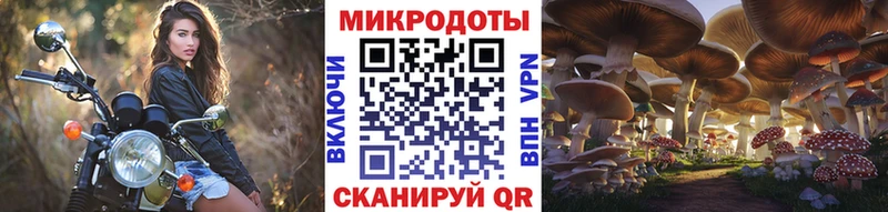 Галлюциногенные грибы прущие грибы  Людиново 